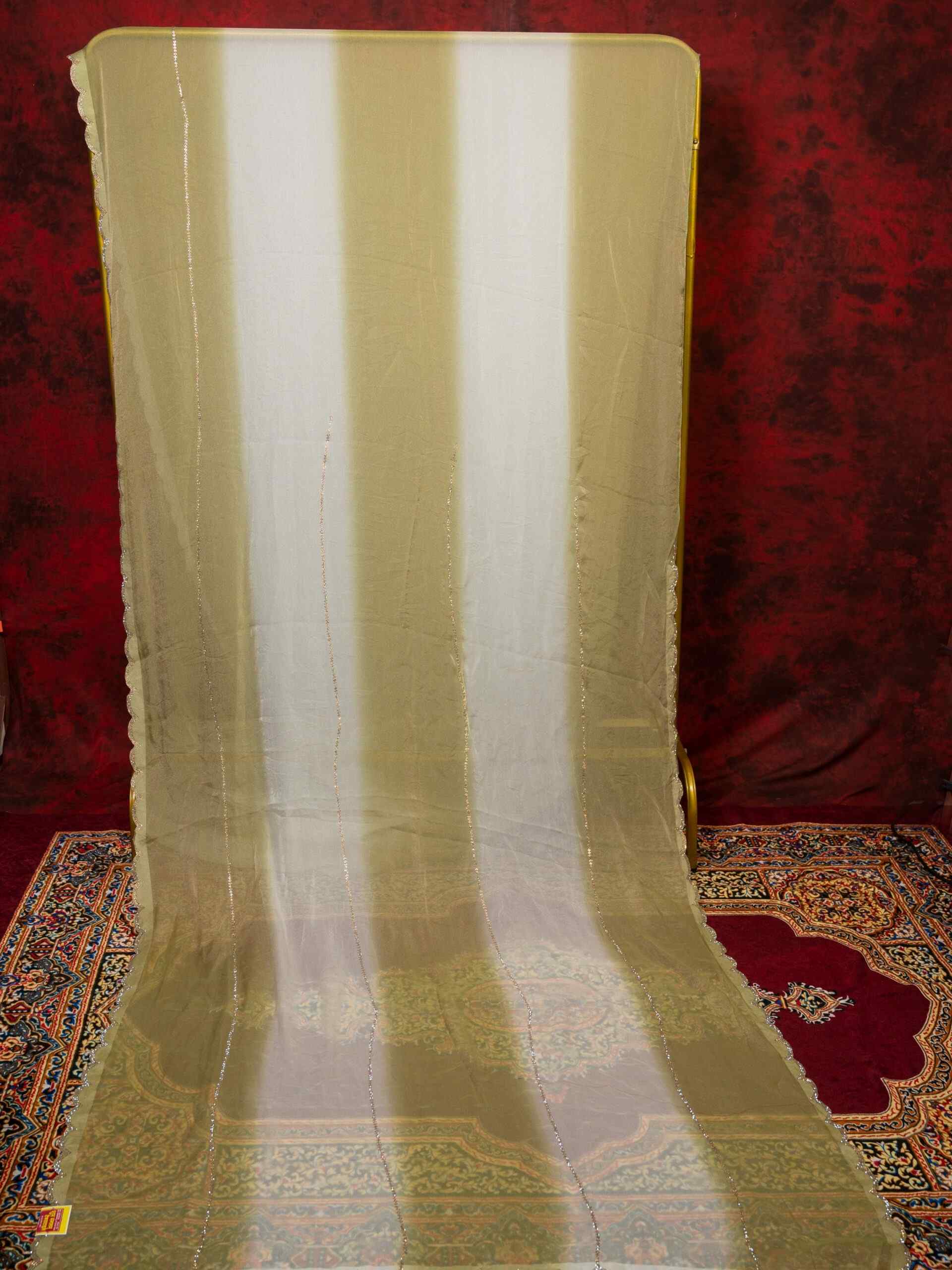 Dual Shade Chinnon Saree with Shiroshki Work - Image 5